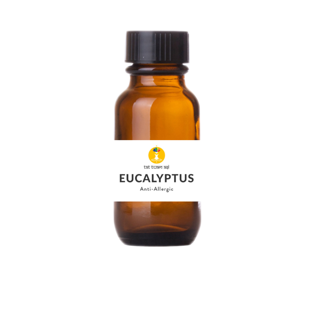 eucalyptus-essential-oil-tattwamasi